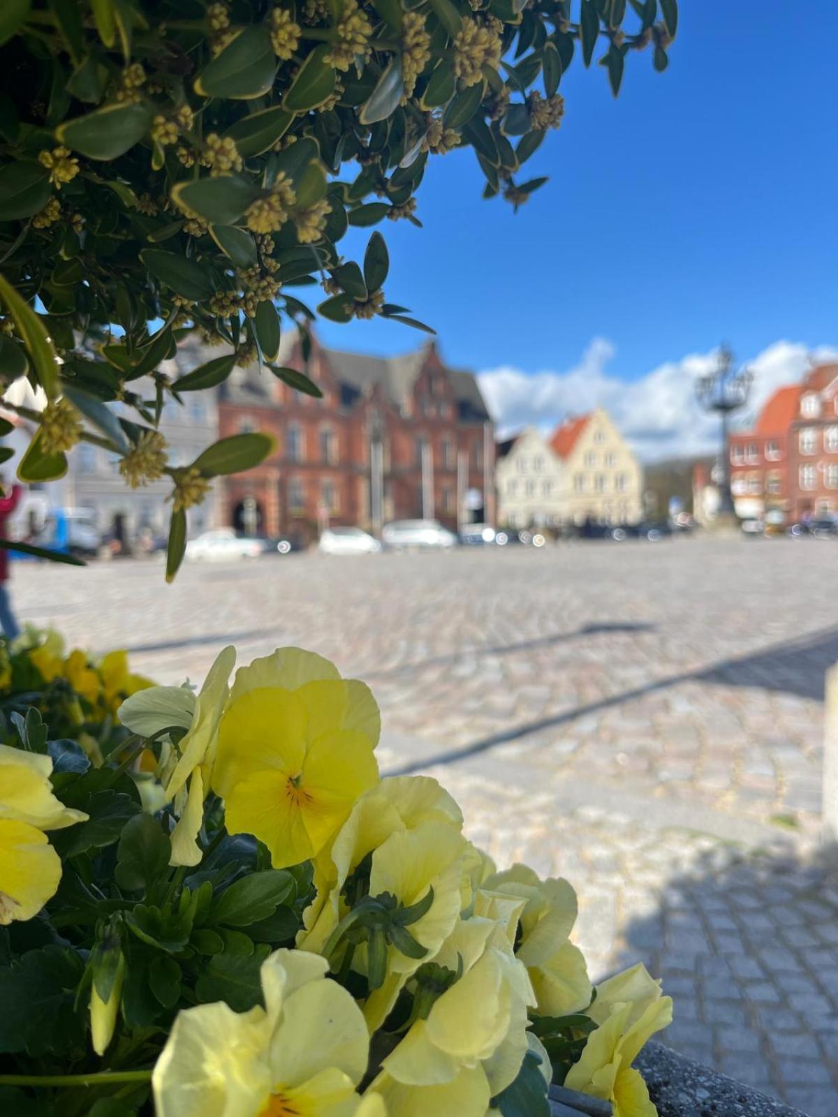 Lykkefund - Ferienwohnungen In Hafennaehe Glückstadt Eksteriør billede